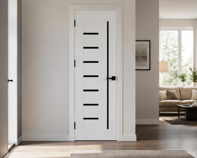 White interior door with black glass slats