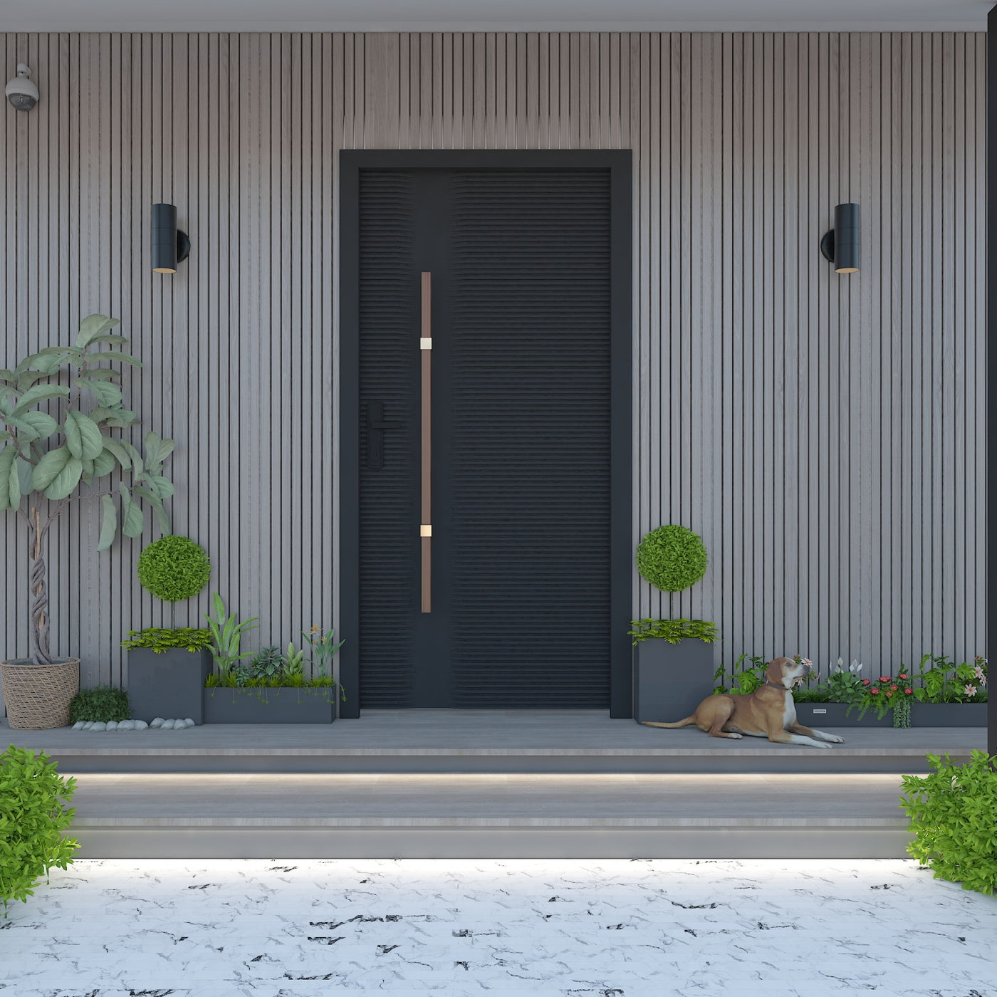 Modern Exterior Door